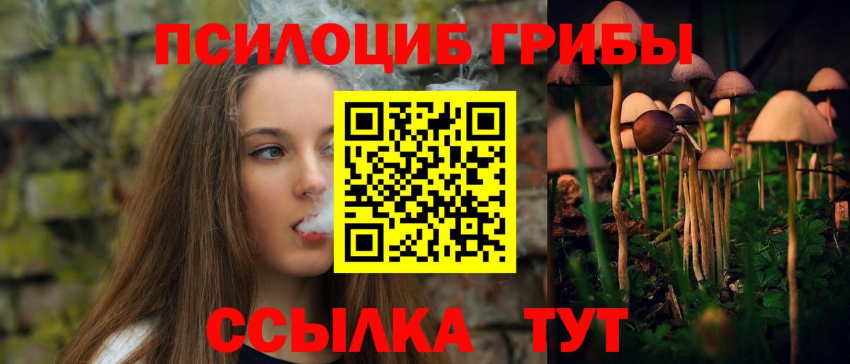 как найти наркотики  Псилоцибиновые грибы прущие грибы  Вход с VPN  Свободный  Псилоцибиновые грибы Magic Shrooms 